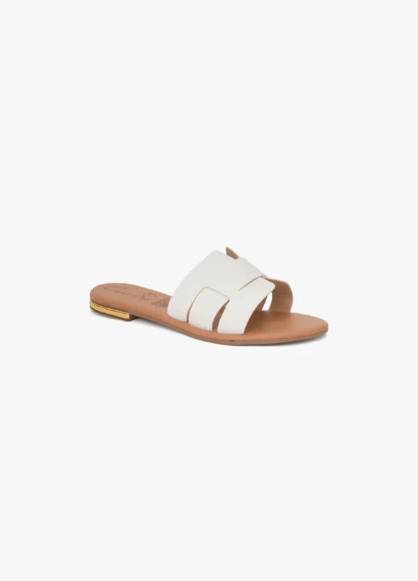 Lazo Ivory